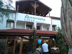 Amvrosia Restaurant Grecesc - image 3