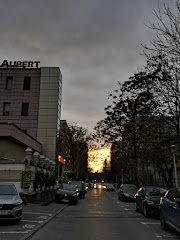 Aubert restaurant - image 10