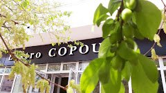 Bistro Copou - image 3