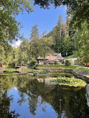 Bran Castle Restaurant - image 9