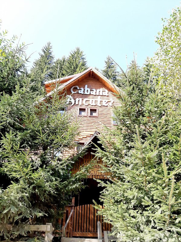 Cabana Ancutei