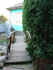 Casa Verde - image 12