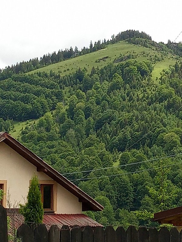 Cazare Petrosani - Pensiunea Bujor de Munte