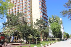 Complex Hotelier Steaua de Mare - Hotel Delfinul - image 5