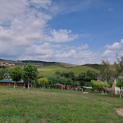 Complex Turistic Darina Sancraiu de Mures - image 9