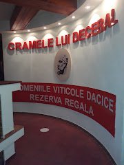 Cramele lui Decebal - image 7