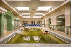 Ensana Bradet Health Spa Hotel - image 5