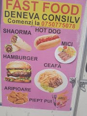 FAST FOOD DENEVA CONSILV - image 11