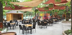 Forest M - Restaurant&Terasa, Salon Evenimente, Cazare - image 1