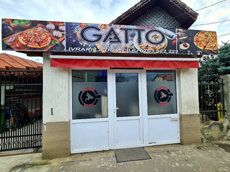 Gatto Pizza