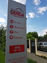 Genesa - image 3