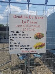 Grădina de vară la grasu - image 1