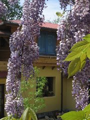 Guesthouse Casa Mică - image 7