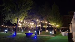 Luxury Events Garden 2 - image 4