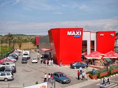 Maxi Market - image 1