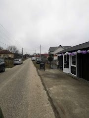 Mihăești, nr 160 - image 3