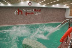 Mureșul Hotel Health Spa - image 8