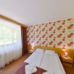 Mureșul Hotel Health Spa - image 2