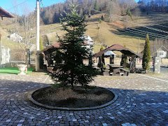 Pensiune Restaurant Piatra Craiului - image 5