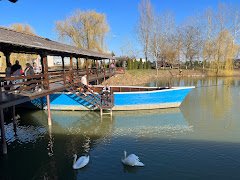 Restaurant Ancora - image 8