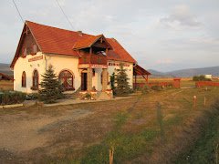 Restaurant Bogrács/Bogrács Étterem - image 3