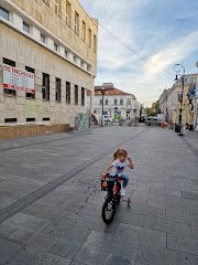 Restaurant Craiova - image 11