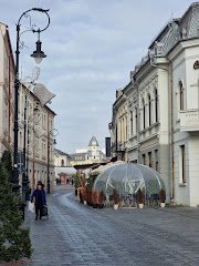 Restaurant Craiova - image 7