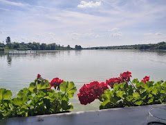 Restaurant Laguna Verde - image 7