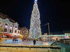 Restaurant Millennium Baia Mare - image 5