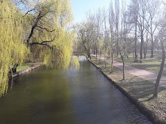 Restaurant Ștrand - image 10