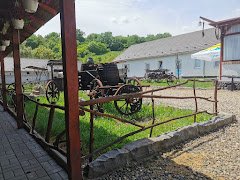 Restaurant-Terasa Rustic Home - image 6