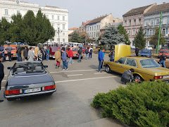 Restaurant Transilvania - image 10