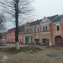 Restaurant Transilvania - image 5