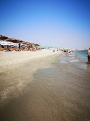 Sabroso Mamaia Rex - image 10