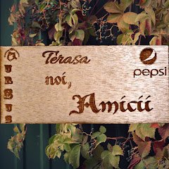 Terasa Noi, Amicii - image 12