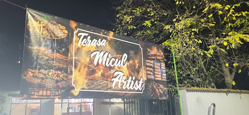 Terasa''Micul Artist''