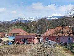 Transilvania Events - image 9