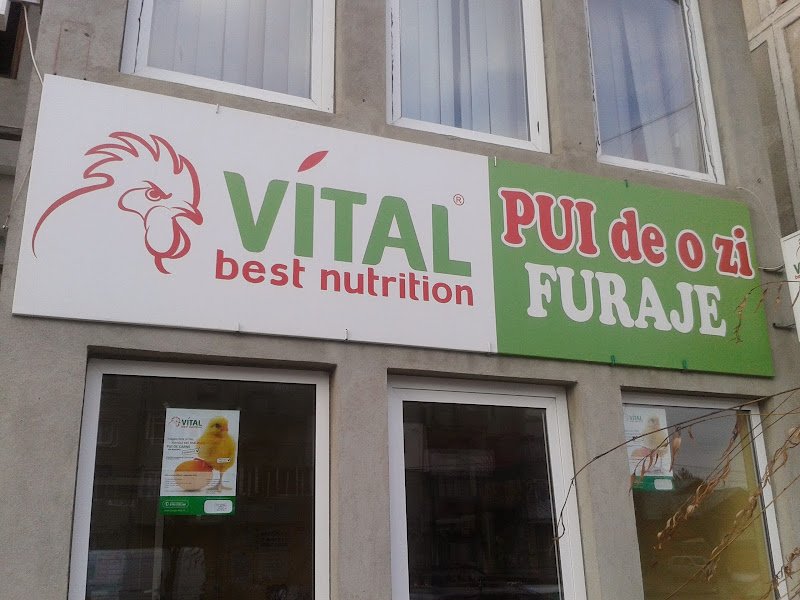 Vital Best Nutrition Gaesti