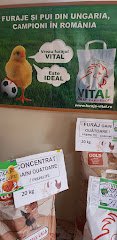 Vital Best Nutrition Gaesti - image 6