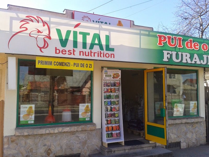 Vital Best Nutrition Targoviste