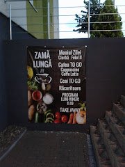 Zama Lunga Avantgarden - image 2